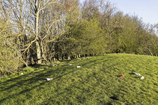 Fast food cartons littering the Northumberland countryside, UK. McDonald's packaging accounts for around half of all fast food litter in England. - Photo, Image