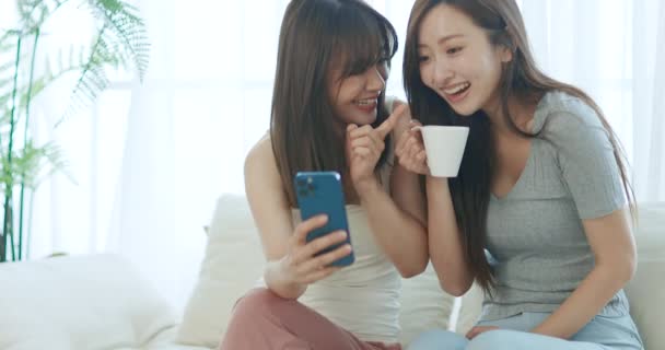 Onnellinen nuori nainen katsomassa älypuhelimia istuu sohvalla kotona - Materiaali, video
