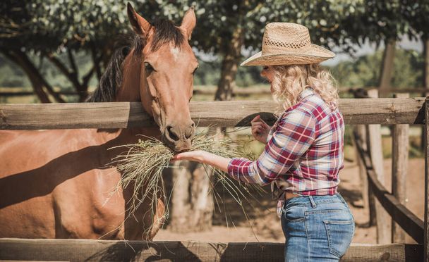 Американский кантри стиль, женщина разговаривает со своей лошадью. Портрет лошади с женщиной в клетчатой рубашке, лошадь с дамой на ранчо - Фото, изображение