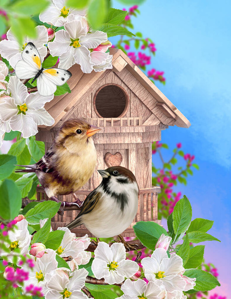 Spring festive easter background, two sparrow birds sit near the birdhouse, branches of a blooming pink apple tree, butterfly, 3d rendering - Valokuva, kuva