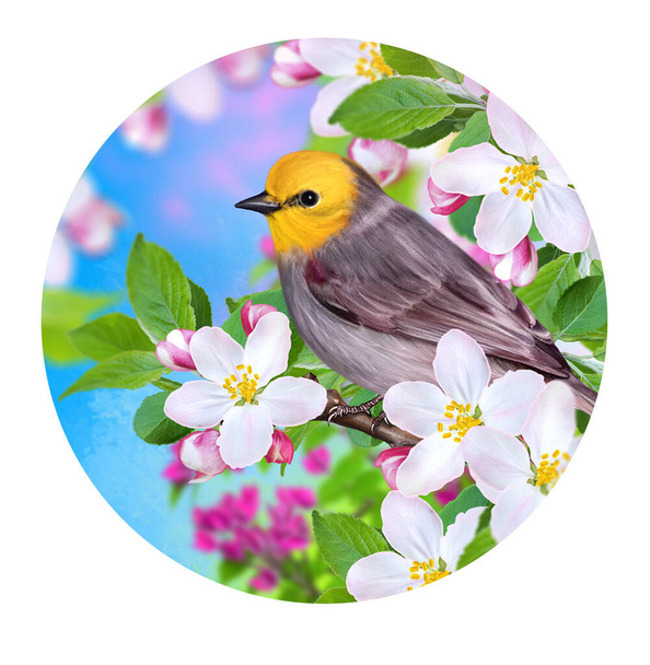 Spring sunny background, bird sits on a branch of blossoming pink apple tree, soft focus, round shape, circle - Zdjęcie, obraz