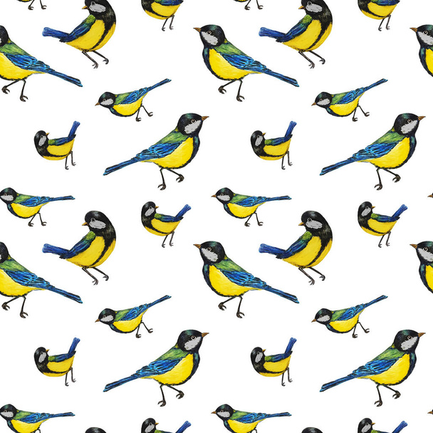 Decorative seamlees pattern with forest birds. Sitting tomtits. Colorful animal print for any purposes. Hand drawing. - Foto, Bild