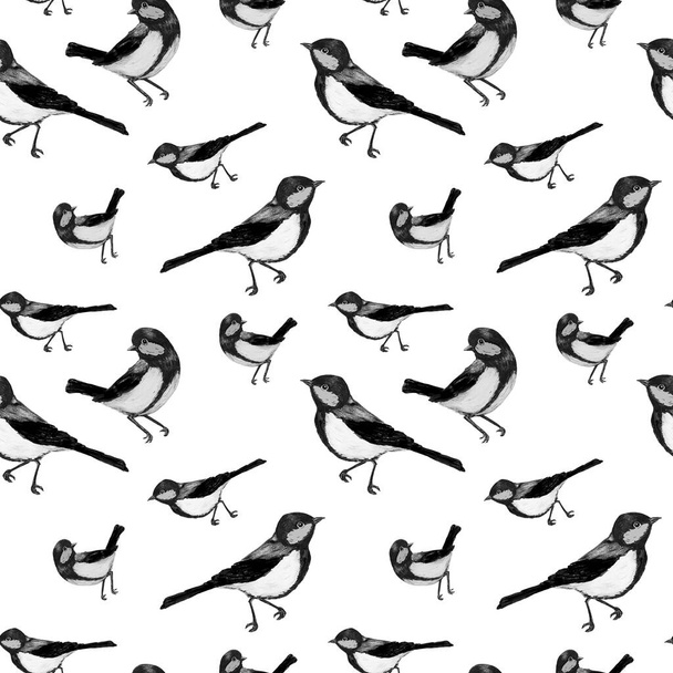 Decorative seamlees pattern with forest birds. Sitting tomtits.Monochrome animal print for any purposes. Hand drawing. - Zdjęcie, obraz
