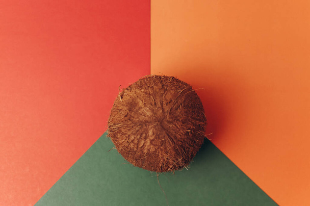 A top view of a small coconut isolated on a colorful background - Фото, изображение