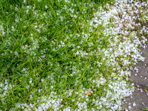 雹が牧草地に横たわっている - 写真・画像
