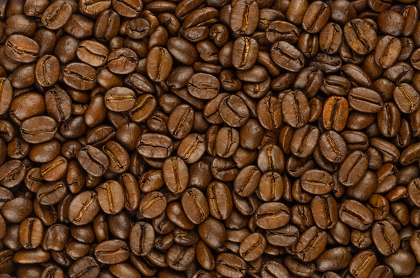 Roasted coffee beans, background, from above. Dark brown, roasted seeds of berries from Coffea arabica, also known as Arabian, mountain or arabica coffee, ready to ground. Backdrop. Macro, food photo. - Photo, Image