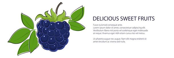 Süße schwarze Beeren Blaubeeren Banner - Vektor, Bild