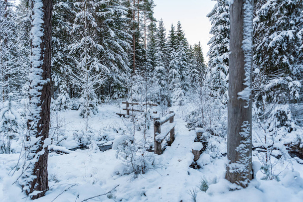 drewniany most dla turystów w zaśnieżonym lesie czeka miłośników przyrody, którzy otrzymają możliwość przekroczenia krzyża w spokojnym spacerze przyrodniczym - Zdjęcie, obraz