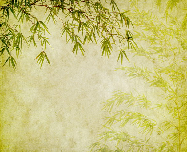 Bambus na stary papier - Zdjęcie, obraz
