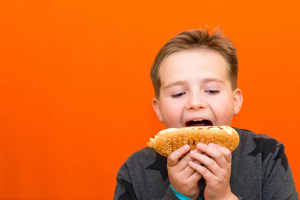 Handsome 10 yers old boy holding and biting hot dog indoors carrot studio background image.Closeup,copy space.Front view.Body positive. - Photo, Image