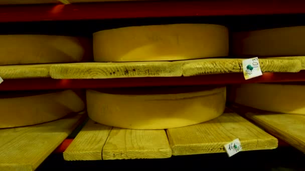 Vista para as rodas de queijo de parmesão amadurecendo nas prateleiras na adega da fábrica de queijo - Filmagem, Vídeo