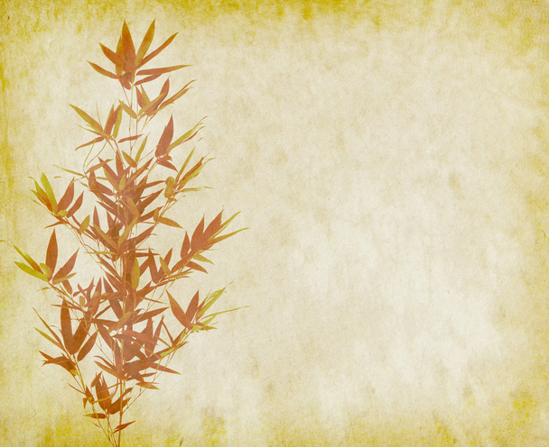 bambusz a régi grunge papír textúra háttér - Fotó, kép