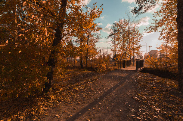 bridge in the autumn city park - Fotoğraf, Görsel