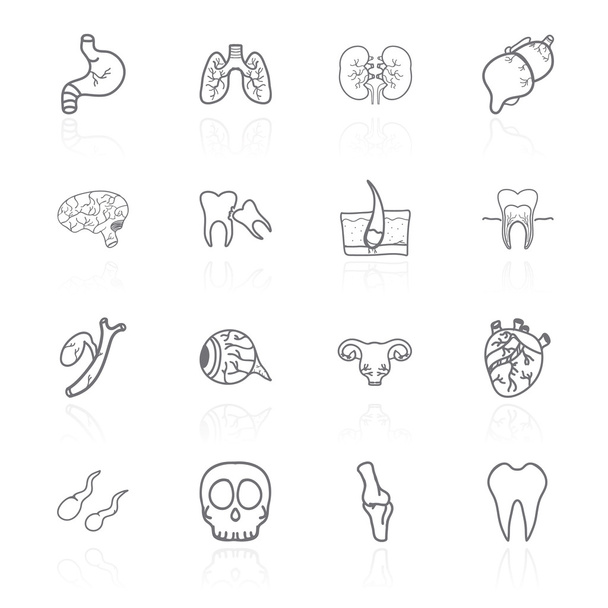 Conjunto vectorial de iconos de contorno de humanos internos - Vector, Imagen