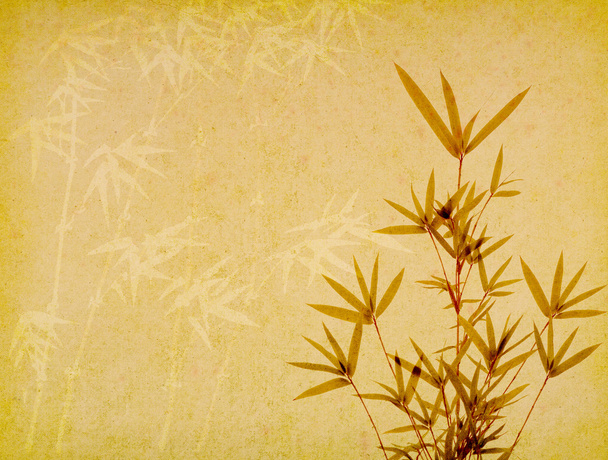 bambú sobre fondo de textura de papel grunge viejo - Foto, Imagen