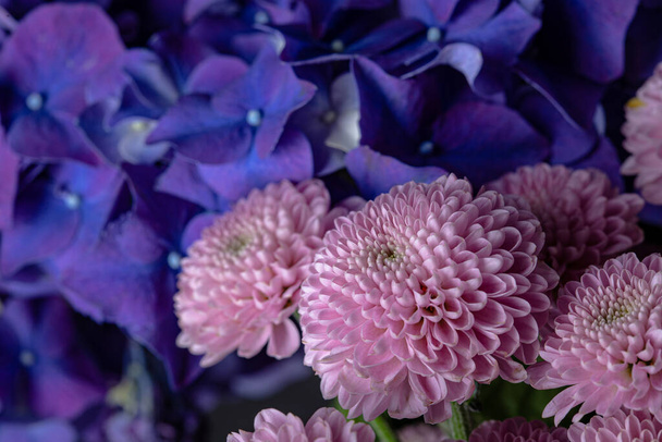 Różowe kwiaty Dahlii i purpurowy hortensji kwiat bukiet na czarnym tle - Zdjęcie, obraz