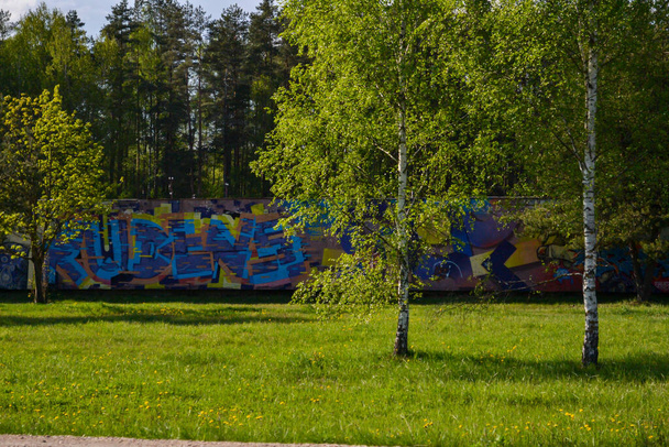 Árboles florecientes de hoja verde en un muro de hormigón marcado con graffiti - Foto, Imagen