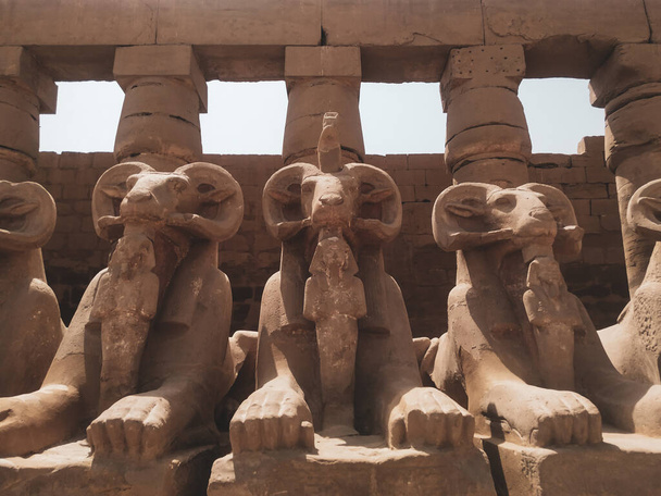 Το συγκρότημα Ναών Κάρνακ, κοινώς γνωστό ως Κάρνακ, περιλαμβάνει ένα τεράστιο μείγμα από αποσυντιθέμενους ναούς, παρεκκλήσια, πυλώνες και άλλα κτίρια κοντά στο Λούξορ, στην Αίγυπτο. - Φωτογραφία, εικόνα