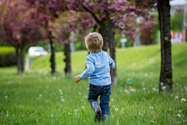 Blond toddler child, cute boy in casual clothing, playing with soap bubbles in the park, running happily - Foto, Imagen
