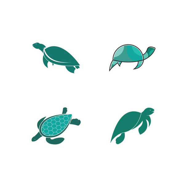 Desenho de desenho animado animal tartaruga imagem vetor ilustração - Vetor, Imagem