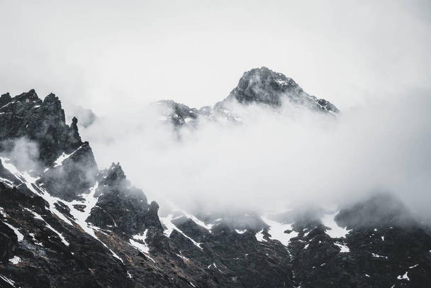 increíblemente hermosas montañas majestuosas cubiertas de nieve en las nubes, increíble vida silvestre - Foto, Imagen