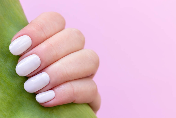 Vrouwelijke hand met mooie manicure - witte ivoren nagels met tulp bloemblaadje op roze wazig achtergrond, close-up met kopieerruimte. Selectieve focus - Foto, afbeelding