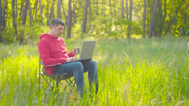 Homme travaillant sur ordinateur portable dans la forêt d'été - Séquence, vidéo