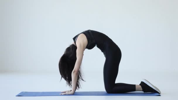 Fitness und Gesundheit. Die sportliche Frau wärmt sich auf, indem sie auf der Gymnastikmatte im isolierten Raum posiert. - Filmmaterial, Video