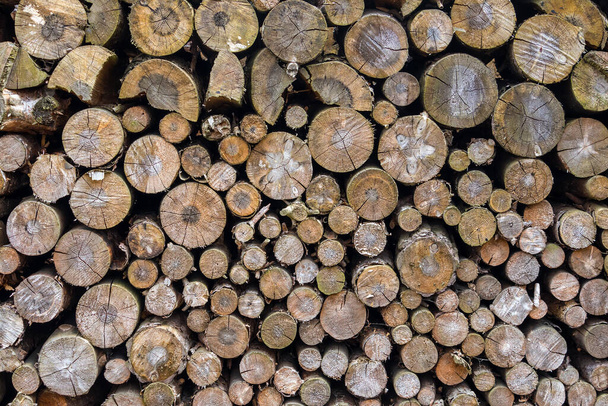 bois de chauffage empilé - texture fond de bûches de bois - Photo, image