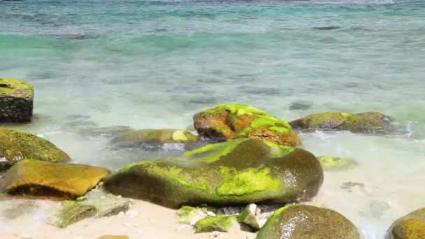 A água limpa e as rochas na costa - Filmagem, Vídeo