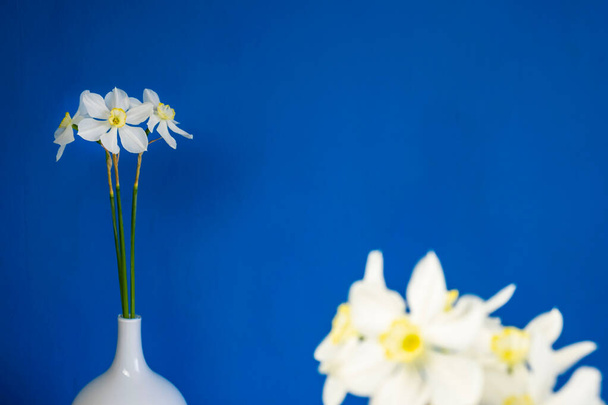 ダフォジルナルシス花花束上の青い背景コピースペースのためにテキストでガラス花瓶 - 写真・画像