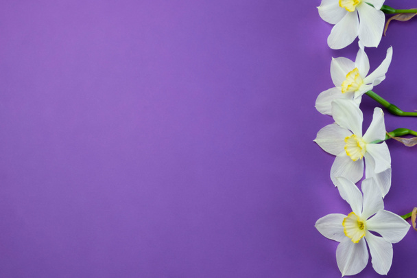 Narciso narciso flores ramo sobre un fondo violeta lila plana marco vista superior, espacio de copia gratuita para el texto - Foto, imagen
