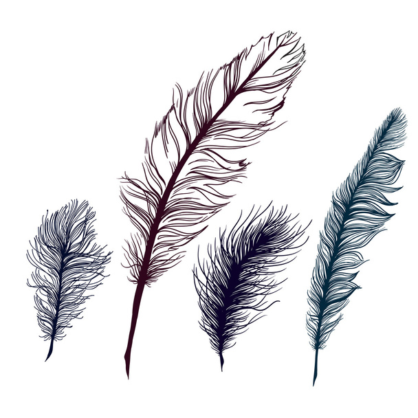 Set of multicolored feathers. On white background - Vector, Image