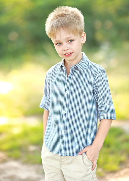 portrait of a little boy in summer - Zdjęcie, obraz