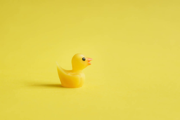Žluté gumové kachny na žlutém pozadí - minimální provedení - Fotografie, Obrázek