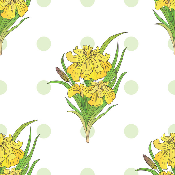 Vector seamless pattern with medicinal plant acorus calamus on a white background - Wektor, obraz