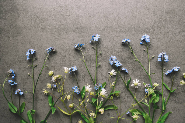 Diverse lentebloemen op een grijze achtergrond. Bovenaanzicht met kopieerruimte. Zomer natuur landschap met verse bloemen. - Foto, afbeelding