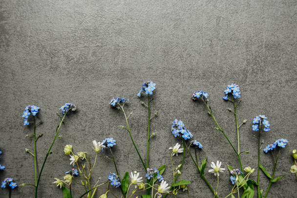 Διάφορα ανοιξιάτικα λουλούδια σε γκρι φόντο. Κάτοψη με χώρο αντιγραφής. Καλοκαιρινό φυσικό τοπίο με φρέσκα λουλούδια. - Φωτογραφία, εικόνα