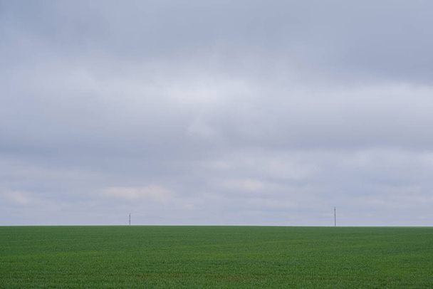beautiful green field stretching beyond the horizon on a cloudy day - Foto, Imagem