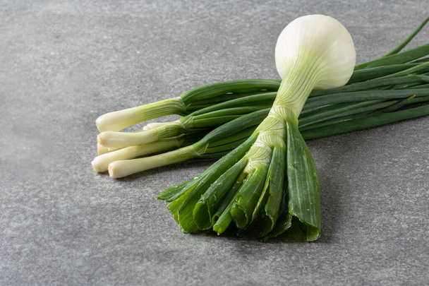 one young onion bulb and green onion on a gray table. Organic food and medical alternative concept - Photo, Image