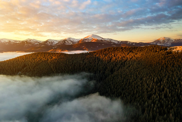 Aerial view of vibrant sunrise over Carpathian mountain hills covered with evergreen spruce forest in autumn. - Valokuva, kuva
