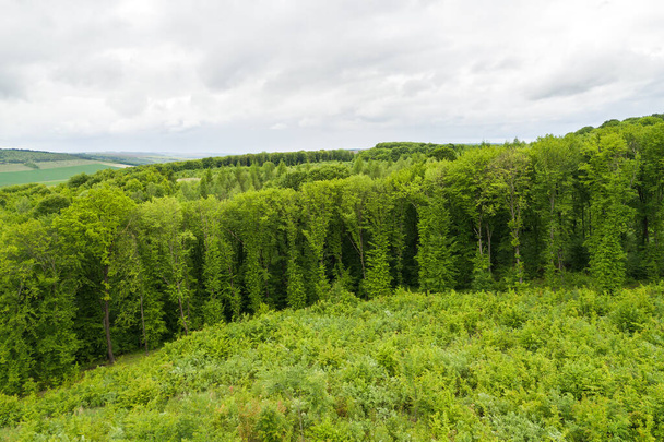 Vista aérea de arriba hacia abajo del verde bosque de verano con una gran área de árboles talados como resultado de la industria global de deforestación. Influencia humana perjudicial en la ecología mundial. - Foto, imagen