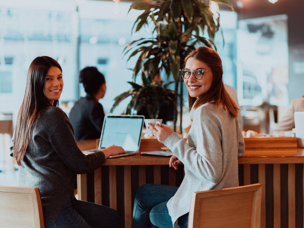 two young business women sitting at table in cafe. Girl shows colleague information on laptop screen. Girl using smartphone, blogging. Teamwork, business meeting.. - Zdjęcie, obraz