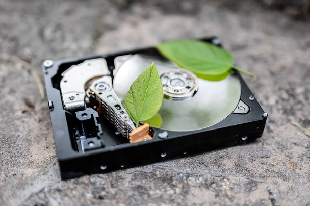 View on a hard disk drive with a bitcoin and a chia leaf representing the cryptocurrencies on a concrete surface on a sunny day. - Photo, Image