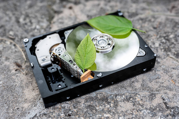 View on a hard disk drive with a bitcoin and a chia leaf representing the cryptocurrencies on a concrete surface on a sunny day. - Photo, Image