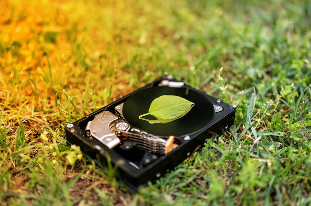 Перегляд на жорсткому диску з листом чіа, що представляє криптовалюти на траві в сонячний день
. - Фото, зображення