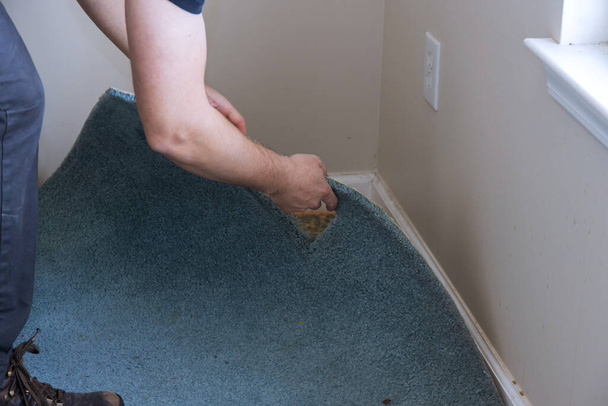 Munkás eltávolítása régi szőnyeg a nappaliban - Fotó, kép