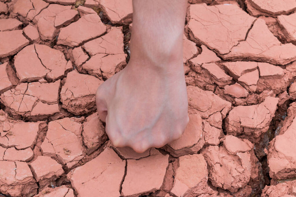 Fist hands on dry earth or Crack earth background - Photo, Image