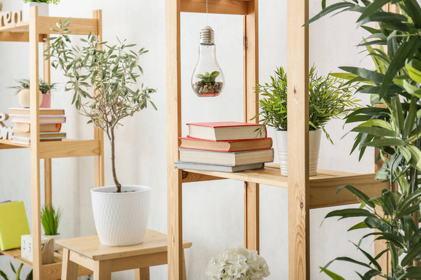 Shelf units with books and houseplants near light wall - Фото, изображение