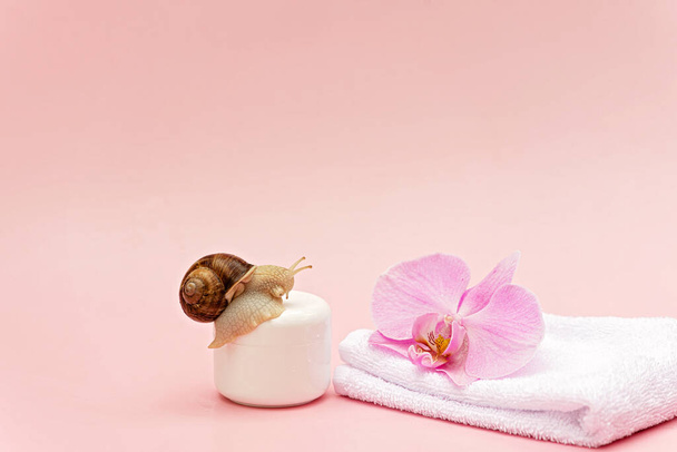 Huidverjonging cosmetica op roze achtergrond met slak en orchidee bloem en witte handdoek, slak mucin crème, hydratatie van de huid, schoonheid, gezondheid, spa concept. Zachte selectieve focus, kopieer ruimte. - Foto, afbeelding